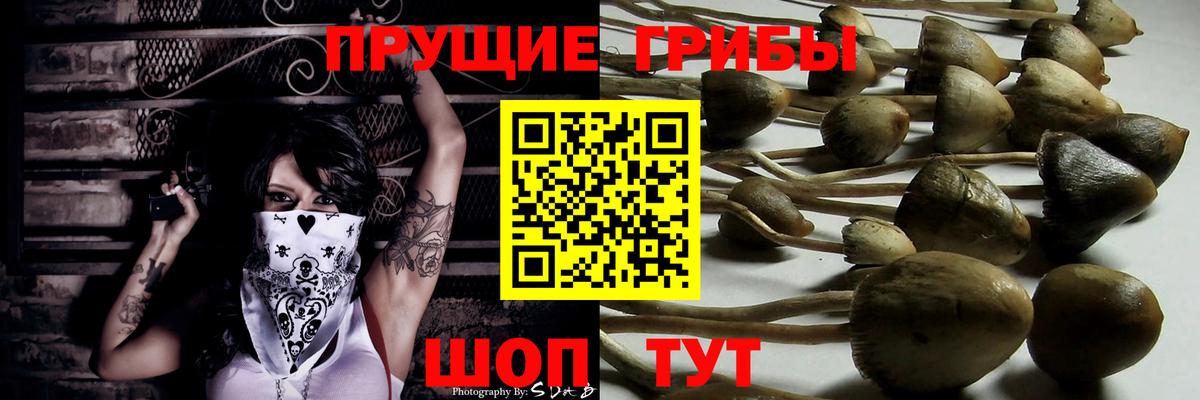 закладка  Вход с VPN  Верхний Уфалей  Галлюциногенные грибы мицелий 